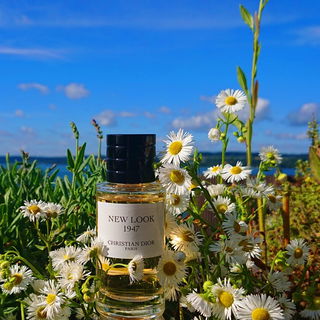 💙 🌼 Sommerglück 🌼 💙