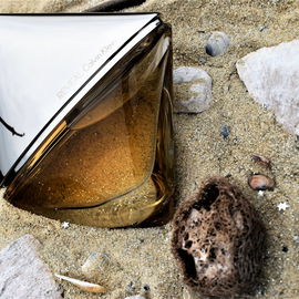 Reveal - Calvin Klein