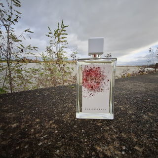 Rose Tentation / Patchouli N' Roses - Réminiscence