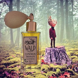 KI, Cenno & Wald