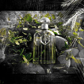 Giorgio for Men (Eau de Toilette) - Giorgio Beverly Hills