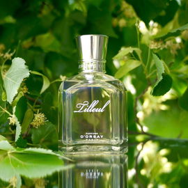 Tilleul (1995) - d'Orsay