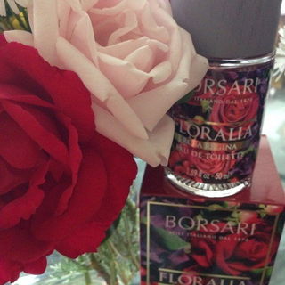 Floralia - Rosa Regina von Borsari 1870