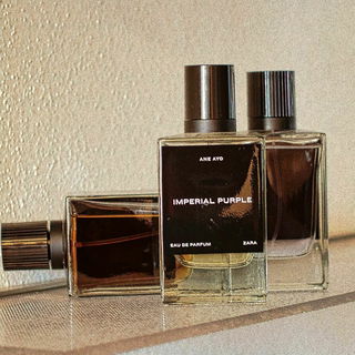 Imperial Purple - Zara