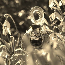 First (Parfum) - Van Cleef & Arpels