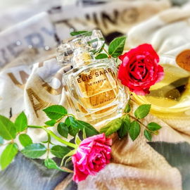 Voyage (Eau de Toilette) - Nautica