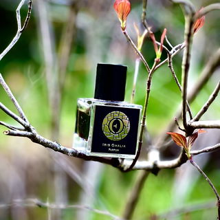 Iris Ghalia (Parfum) - Ensar Oud