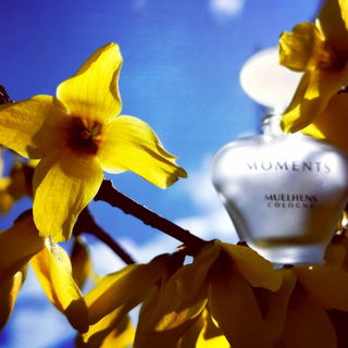 Moments (Parfum) - Priscilla Presley