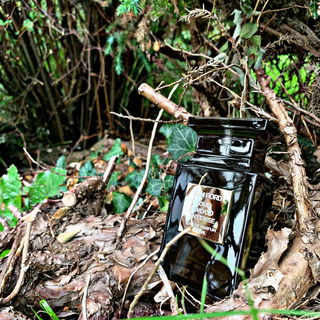 Oud Wood Intense von Tom Ford