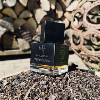 M7 (2011) / M7 Oud Absolu von Yves Saint Laurent