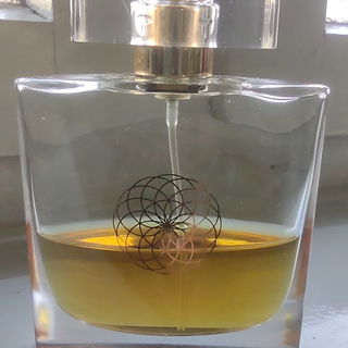 Jardin d'Iris von Sama