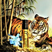 Tiger - Lily (von Floyd)