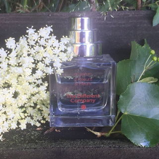 Into the White / Ailleurs & Fleurs / Un Parfum d'Ailleurs & Fleurs - The Different Company