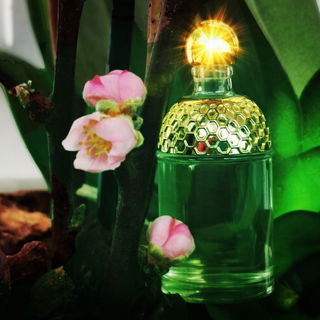 Aqua Allegoria Limon Verde - Guerlain