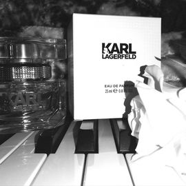 Karl Lagerfeld - Karl Lagerfeld
