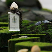 Ihr Lieben, ein großes Merci für eure schönen Worte & Auszeichnungen zur Holz-Felsen-Buhne bei Ebbe :) (by EveMist)