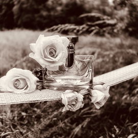 Splendida - Rose Rose - Bvlgari