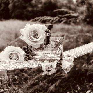 Splendida - Rose Rose - Bvlgari