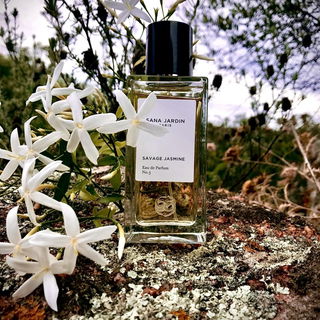 Echter Jasmin, dem Duft von Sana Jardin sooo nah :-)