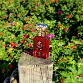 Matsukita am Meer vor einem Busch der Sylter Rose/ Hagebutte  - letzte Sommertage🌹. Danke für euren Besuch!