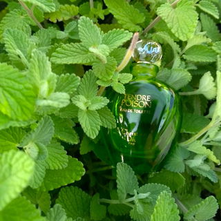 Tendre Poison (Eau de Toilette) von Dior