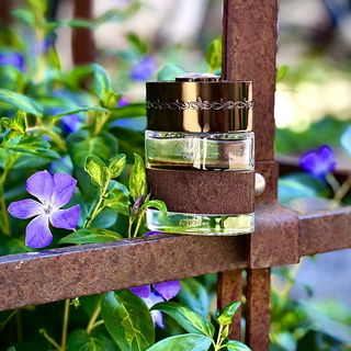 Dubai - Oud - The Spirit of Dubai