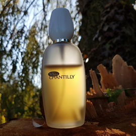 White Chantilly (Eau de Toilette) - Dana