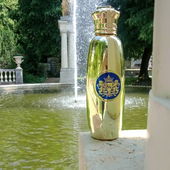 zwei Könige an einem Teich 🦁🦁, einer auf Säulen und ein anderer imponiert im Vordergrund (by Skydiver19)