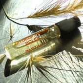 Allumé le Soleil (by Floyd)