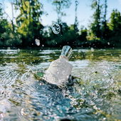 Hinein ins kühlende Alpenwasser der Alz! 🌊💚💦 (by Goasbaeuerin)