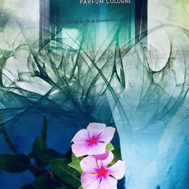 Vetiver Parfum Cologne - Roja Parfums
