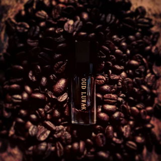 Oud Luwak Attar - Areej Le Doré