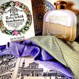 Rosa Novella - Santa Maria Novella