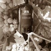 Der Wein tankt noch etwas Sonne. (von Pollita)