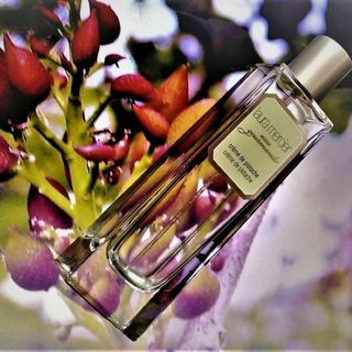 Eau Gourmande - Crème de Pistache - Laura Mercier
