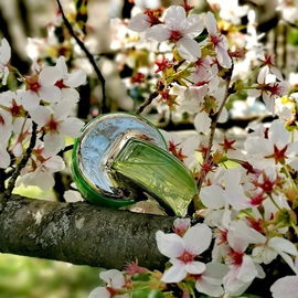 Badischer Frühling :-) Ganz lieben Dank für Eure Besuche!