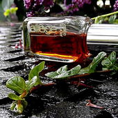 Sport Perfume (von Ginger)