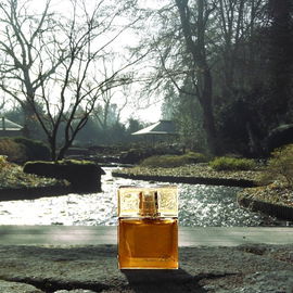 Zen (2007) (Eau de Parfum) - Shiseido / 資生堂