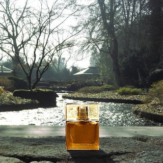Zen (2007) (Eau de Parfum) - Shiseido