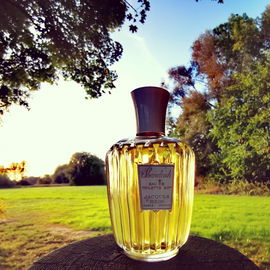 Shandoah (Eau de Toilette) - Jacques Heim
