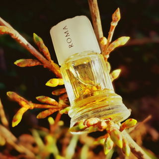 Alles steht in den Startlöchern, wartet nur auf Sonne und Wärme, genau, wie ich.