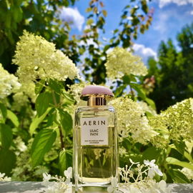 Lilac Path - Aerin