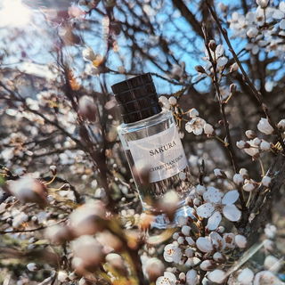 Kurz den Sonnenschein genießen und mit Sakura die Blüten bewundern 🌸 Zehn Minuten später fing es wieder an zu schneien..