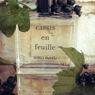 Totally White/126 - Parle Moi de Parfum