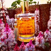 Ein lauer Sommerabend (von Gandix)