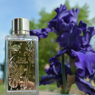 Iris Dragées von Lancôme