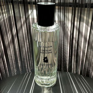 Cologne Nocturne - Le Galion