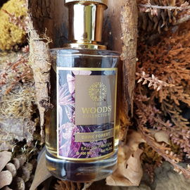 Dark Forest - The Woods Collection