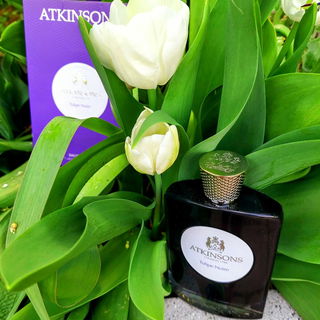 Tulipe Noire von Atkinsons