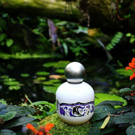 Swan Princess - The Vagabond Prince